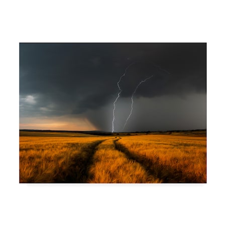 Nicolas Schumacher 'Wetterfront Storm' Canvas Art,35x47